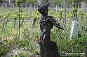 VBS_3203 - Mango (Cuneo) - Gnomovia